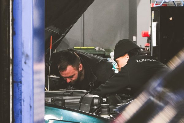 SHAWN ARTICLE-12