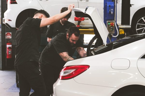 SHAWN ARTICLE-13