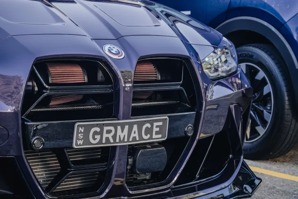 Grimace Cosmetic Changes - May 2025 -_-8 copy